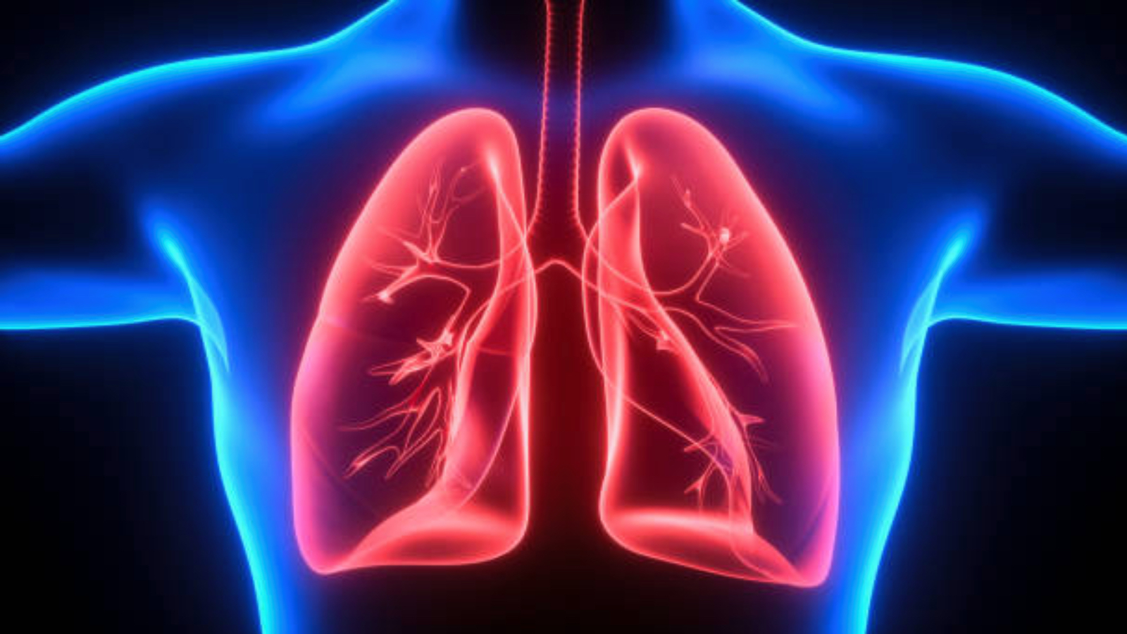 samsunda 1 yilda 188 kisiye nadir gorulen akciger hastaligi tanisi konuldu bircok kanser turunden daha fazla olume yol acabiliyor uY5Qt6y6