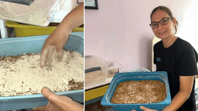 taleplere yetisemiyor evinde oyle bir tesis kurdu ki paraya para demiyor KRbWXCY1