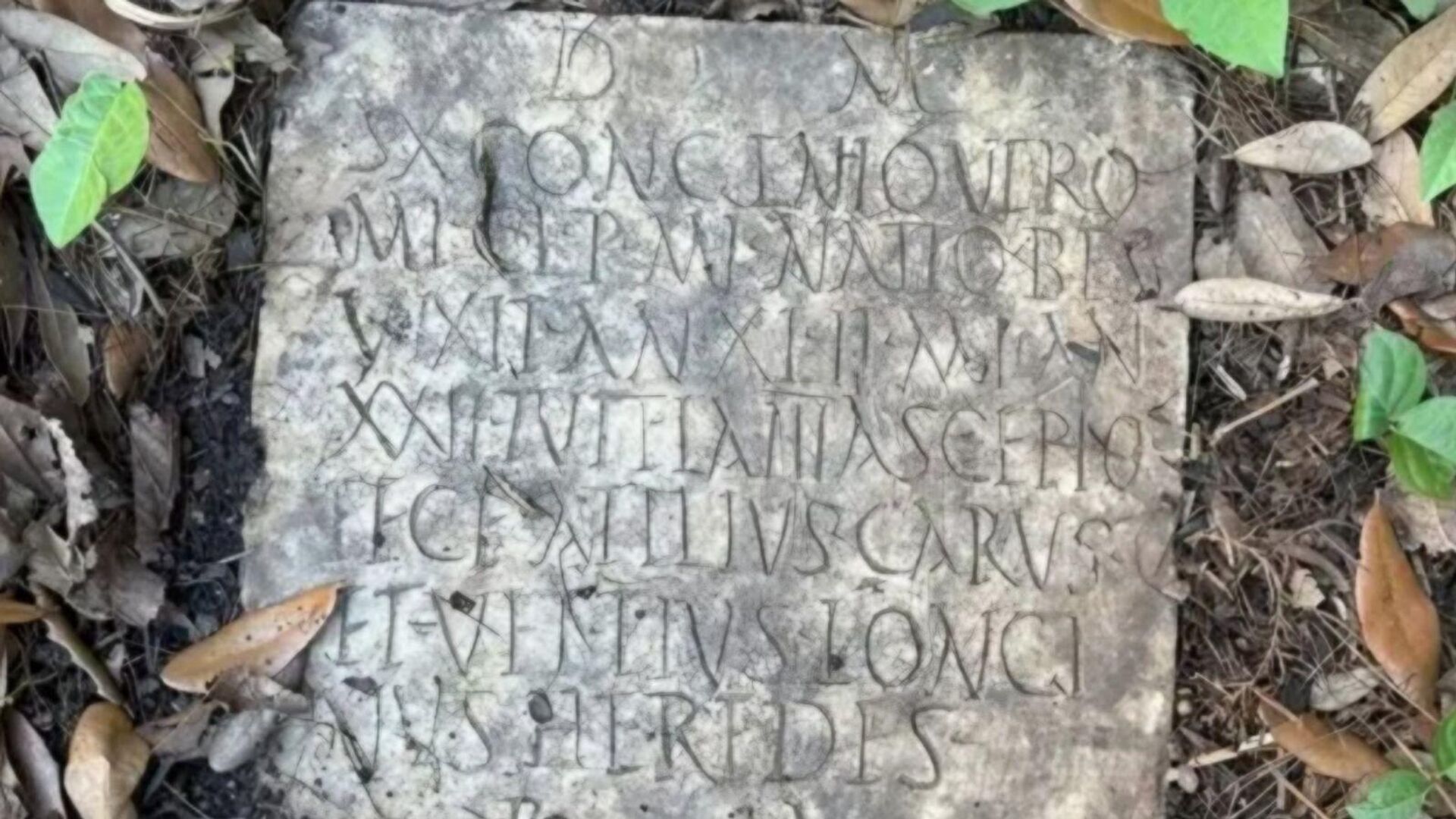 arka bahcede 2 bin yillik roma mezari buldular fbi devreye girdi Bza8hBFH.jpg