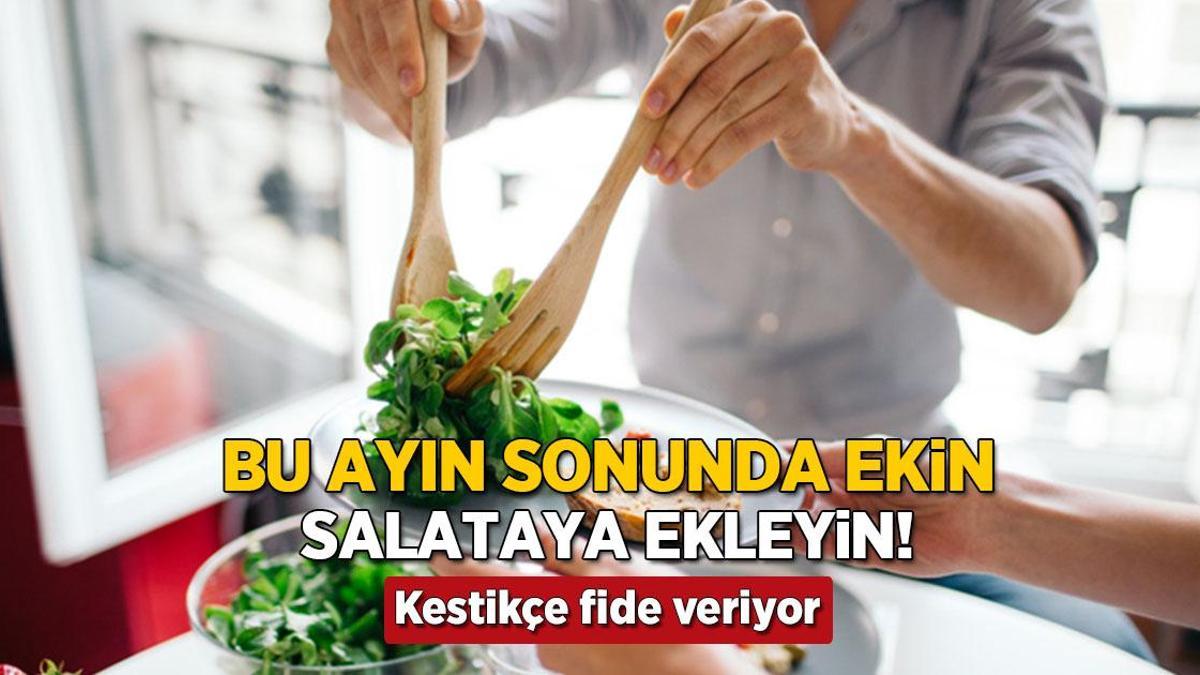 ekim sonunda eken hasadi katliyor kestikce fide veren bagisiklik dostu bitki OJMMF6Vl.jpg