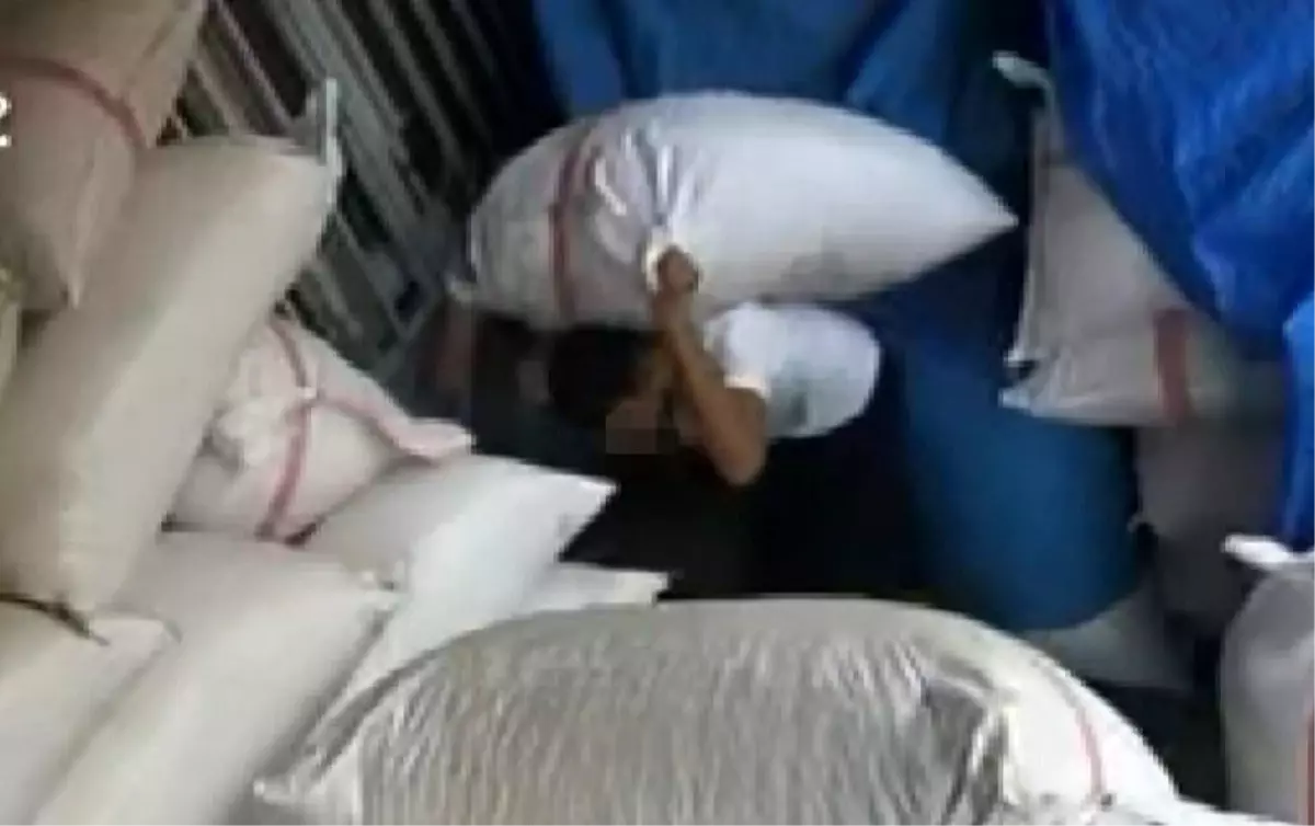 gaziantepte fistik hirsizligi mrTmFH7F