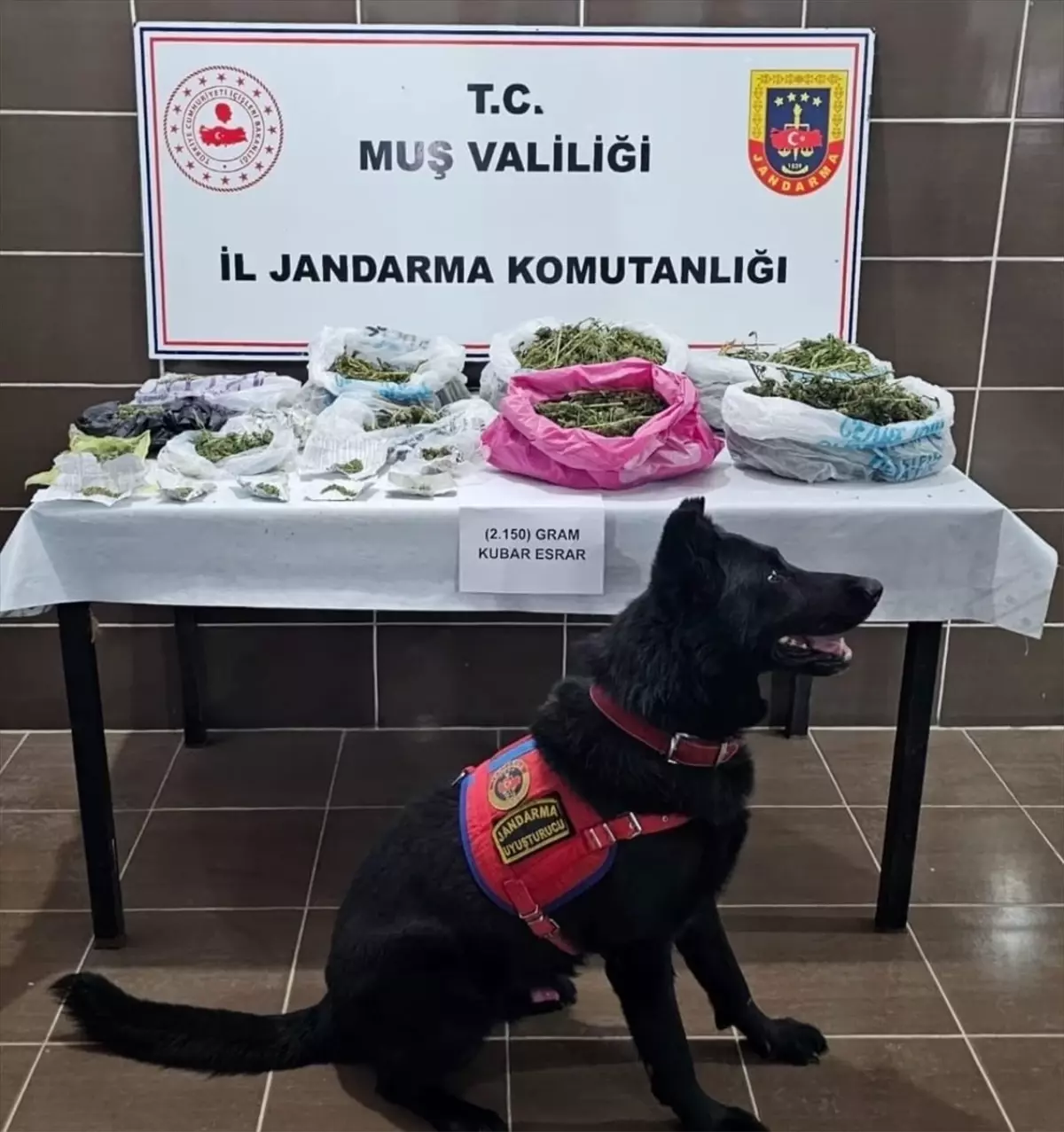 musta esrar operasyonu 215 kg ele gecirildi rKQtafA5