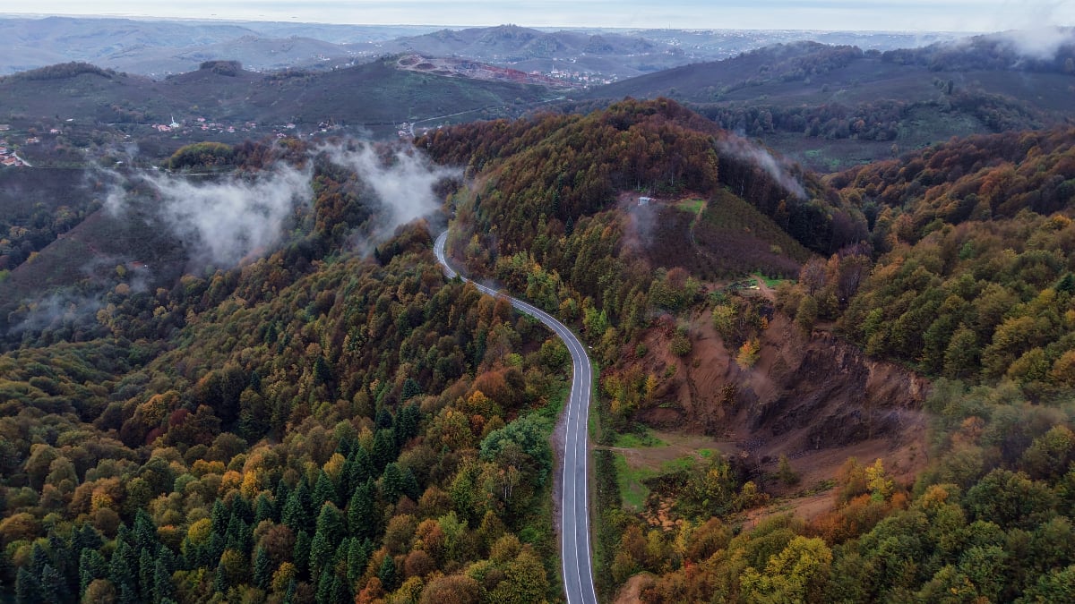 sakaryada cam daginda essiz renk cumbusu hayran birakti 71kuddmJ.jpg
