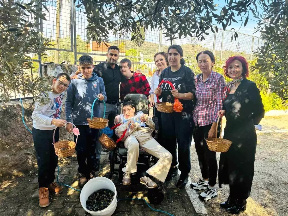 yahsi ozel egitim okulunda zeytin hasadi etkinligi Wrb1akSe.jpg