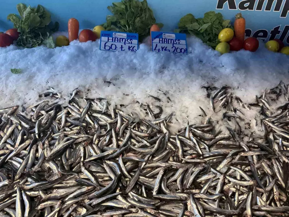 hamsinin fiyati dusmeye devam ediyor AmOAIuNP.jpg