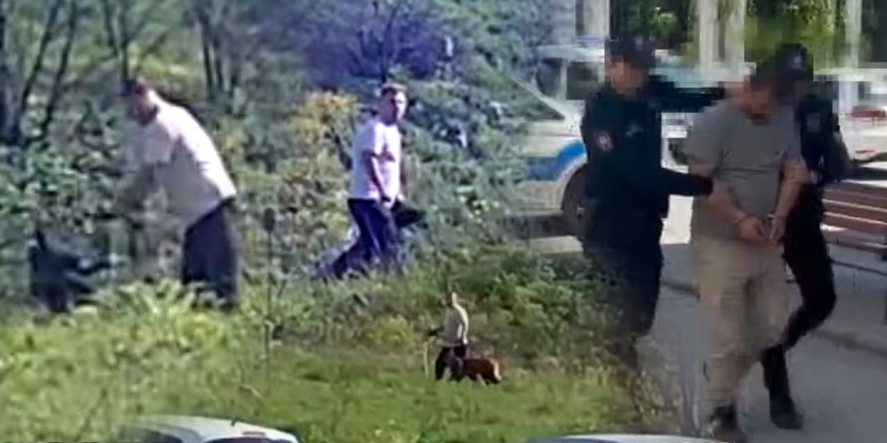 Köpeğe Şiddet Uygulayan Saldırgan Gözaltına Alındı